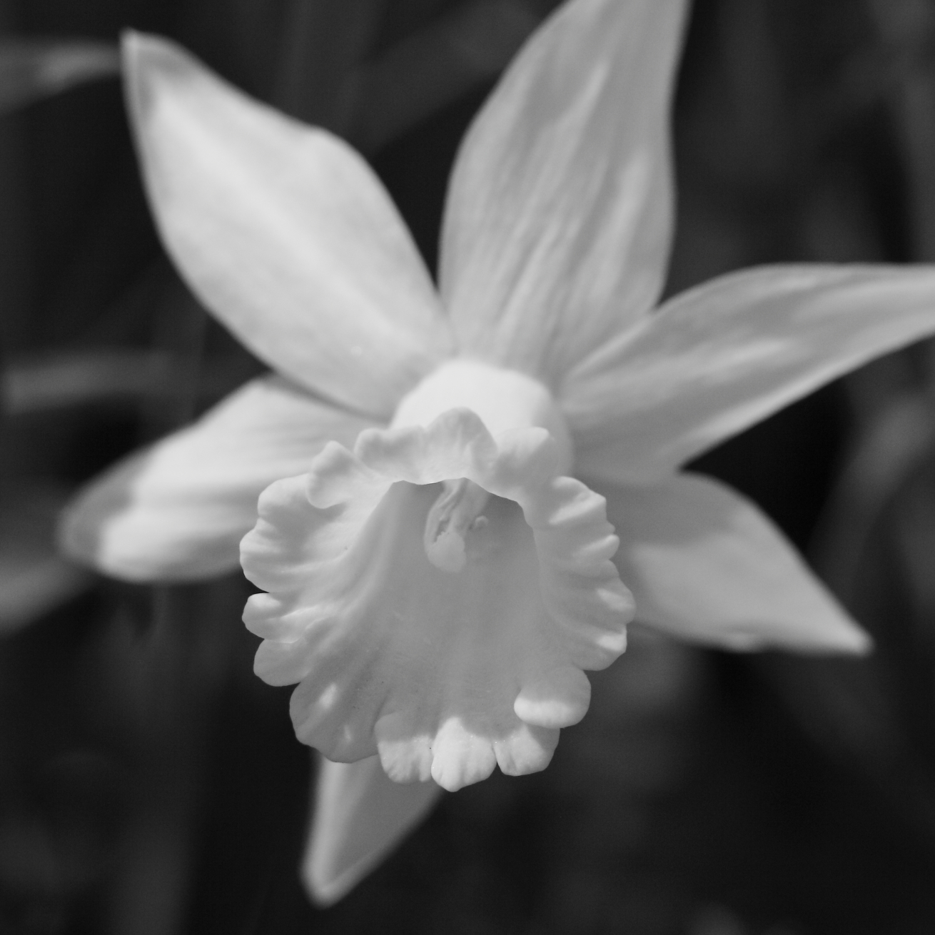 2015 04 18 HTP 000041955